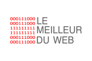 LEI MEILLEUR DU WEB AWARDS LOGO